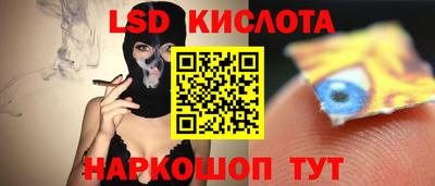 СК Кингисепп