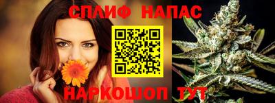 СК Кингисепп