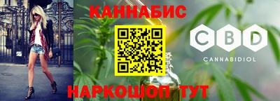 СК Кингисепп