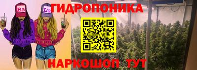 спайс Кимры