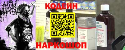 СК Кингисепп