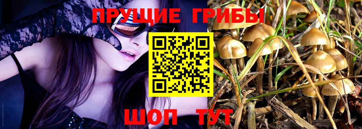 Великие Луки  Галлюциногенные грибы Magic Shrooms  наркошоп  Псилоцибиновые грибы мицелий  Вход с VPN 