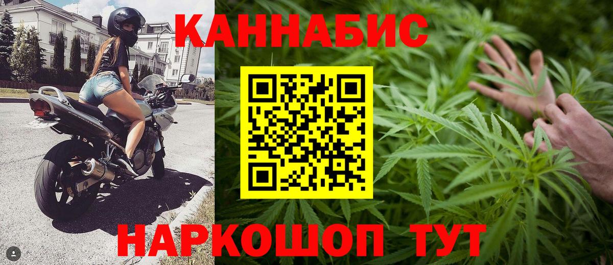 Бошки марихуана план  Шишки марихуана план  Вход с VPN  Каннабис сатива  Великие Луки 